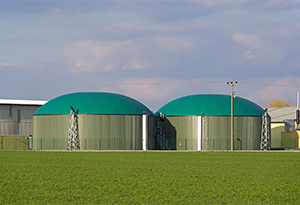 biogas plan